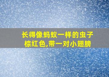 长得像蚂蚁一样的虫子棕红色,带一对小翅膀