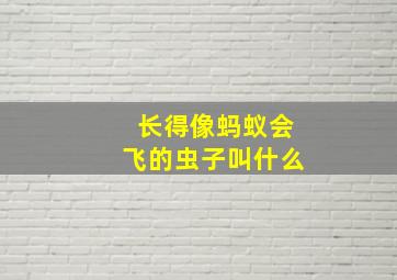 长得像蚂蚁会飞的虫子叫什么