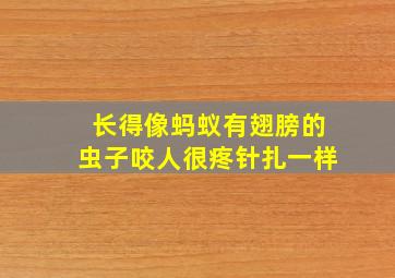 长得像蚂蚁有翅膀的虫子咬人很疼针扎一样