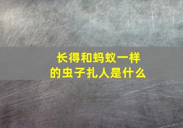 长得和蚂蚁一样的虫子扎人是什么