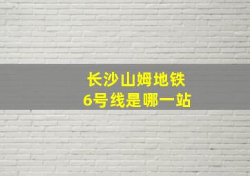 长沙山姆地铁6号线是哪一站