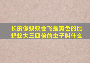 长的像蚂蚁会飞是黄色的比蚂蚁大三四倍的虫子叫什么