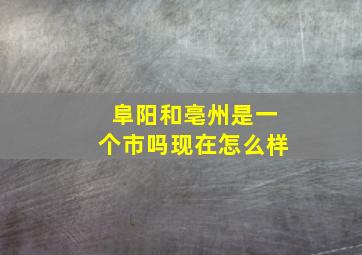 阜阳和亳州是一个市吗现在怎么样