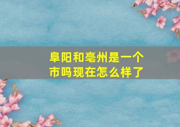 阜阳和亳州是一个市吗现在怎么样了