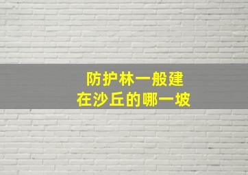 防护林一般建在沙丘的哪一坡