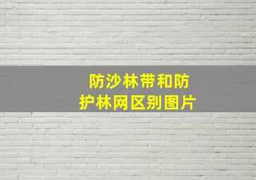 防沙林带和防护林网区别图片