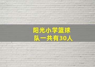 阳光小学篮球队一共有30人