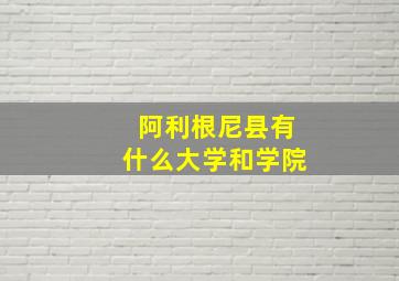 阿利根尼县有什么大学和学院