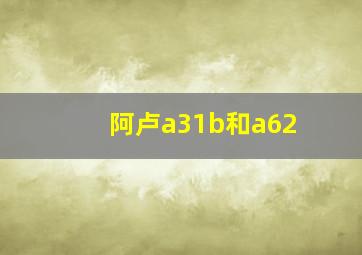 阿卢a31b和a62