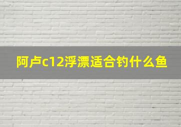 阿卢c12浮漂适合钓什么鱼