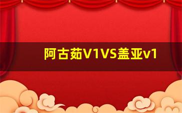 阿古茹V1VS盖亚v1