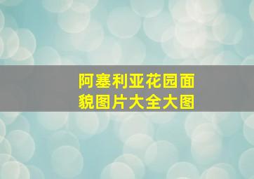 阿塞利亚花园面貌图片大全大图