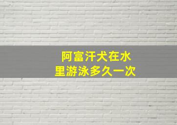 阿富汗犬在水里游泳多久一次