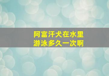 阿富汗犬在水里游泳多久一次啊