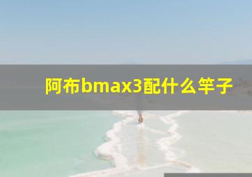 阿布bmax3配什么竿子