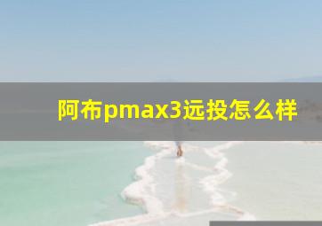 阿布pmax3远投怎么样