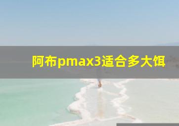 阿布pmax3适合多大饵