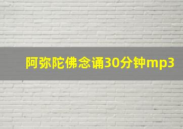 阿弥陀佛念诵30分钟mp3