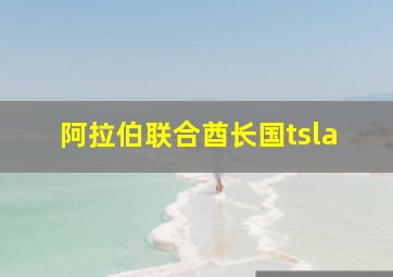 阿拉伯联合酋长国tsla