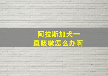 阿拉斯加犬一直咳嗽怎么办啊