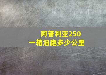 阿普利亚250一箱油跑多少公里