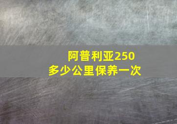 阿普利亚250多少公里保养一次