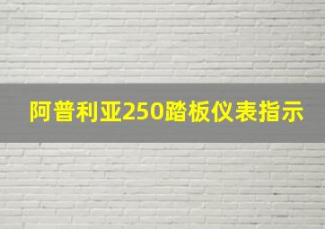 阿普利亚250踏板仪表指示