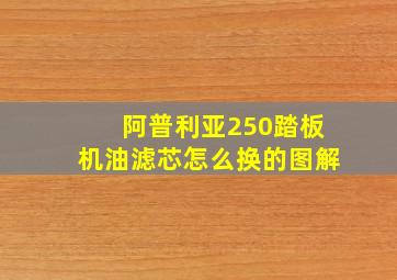 阿普利亚250踏板机油滤芯怎么换的图解