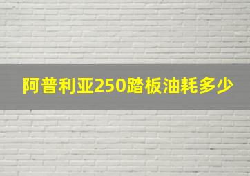 阿普利亚250踏板油耗多少