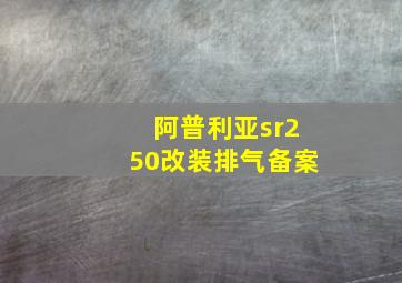 阿普利亚sr250改装排气备案