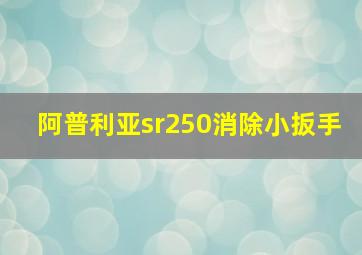 阿普利亚sr250消除小扳手