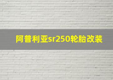 阿普利亚sr250轮胎改装