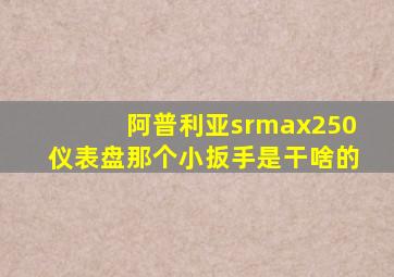 阿普利亚srmax250仪表盘那个小扳手是干啥的