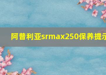 阿普利亚srmax250保养提示