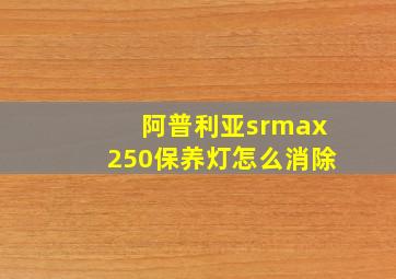 阿普利亚srmax250保养灯怎么消除