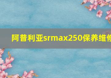 阿普利亚srmax250保养维修