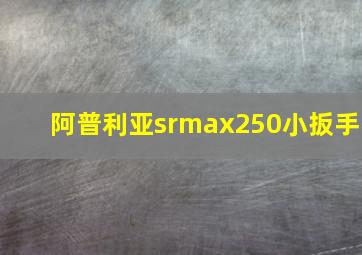 阿普利亚srmax250小扳手