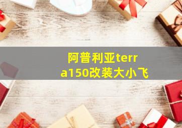 阿普利亚terra150改装大小飞