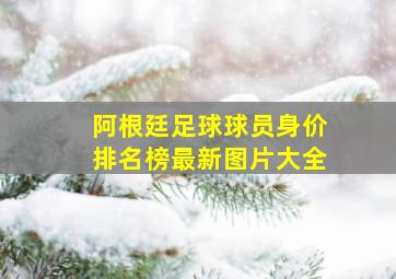 阿根廷足球球员身价排名榜最新图片大全