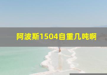 阿波斯1504自重几吨啊