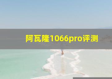 阿瓦隆1066pro评测