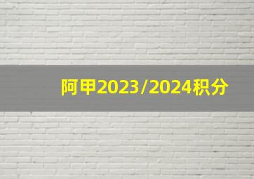 阿甲2023/2024积分