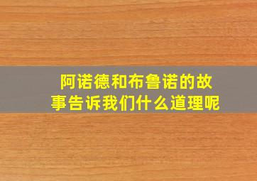 阿诺德和布鲁诺的故事告诉我们什么道理呢