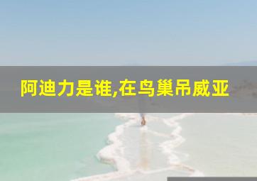 阿迪力是谁,在鸟巢吊威亚