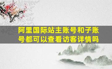 阿里国际站主账号和子账号都可以查看访客详情吗