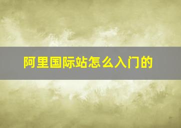 阿里国际站怎么入门的