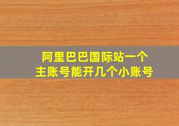 阿里巴巴国际站一个主账号能开几个小账号