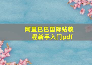 阿里巴巴国际站教程新手入门pdf