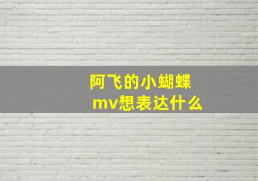 阿飞的小蝴蝶mv想表达什么