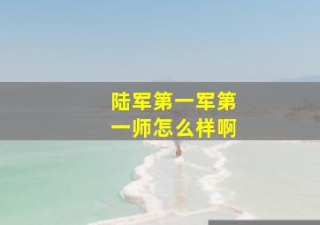 陆军第一军第一师怎么样啊